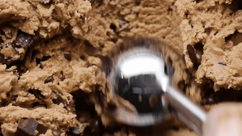 Placing dough in the fridge to chill.