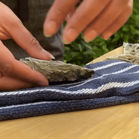 Demonstrates placing the oyster in the tea towel and folding it over.