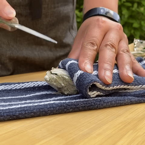 Shows the process of inserting the knife and applying pressure to break the hinge.