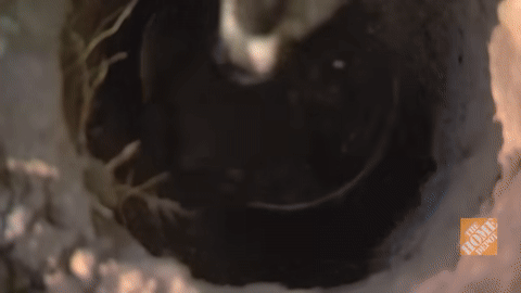 Shows the use of clam shell diggers to clear obstructions.